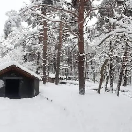 Espectacular Y Acogedor Con Todas Comodidades アパート ビエスカス