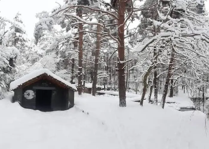 Espectacular Y Acogedor Con Todas Comodidades Apartamento Biescas (Aragon)